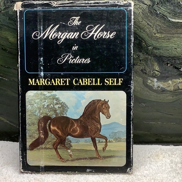 About Me : Equestrian plus my Horse Books Riding Training Vintage Various Titles - Picture 16 of 16